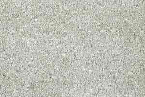 Ковролин AW Invictus Carolus 90 фото  | FLOORDEALER